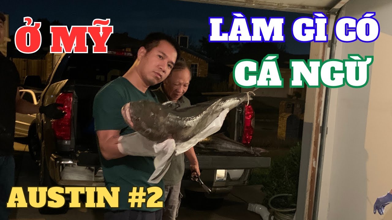 Ở Mỹ có Cá Ngừ không? Review Resort Kalahari tập 2| Đại tiệc cá Ngừ| Danny Phan