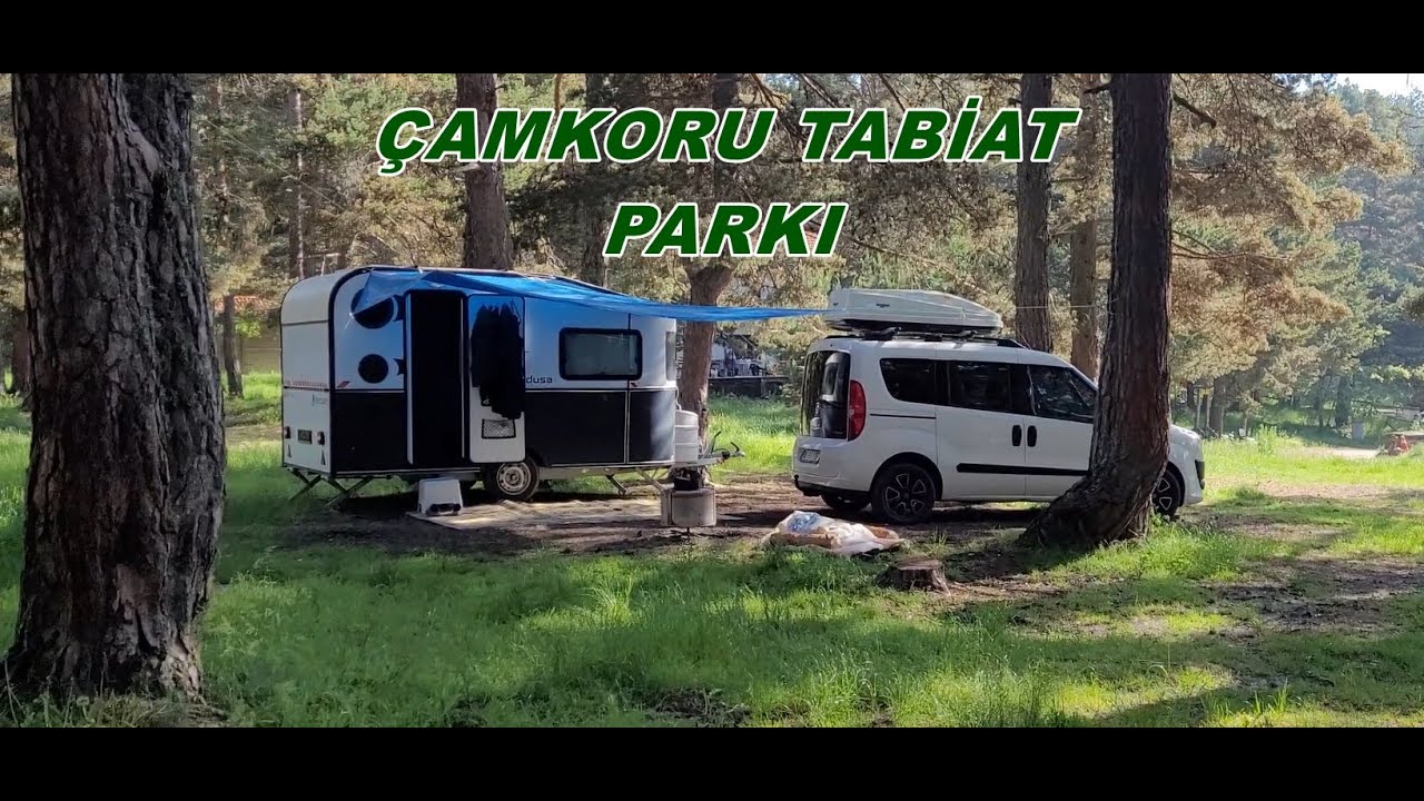 Karavanımızla İlk Orman Kampı - Çamkoru Tabiat Parkı - Araca Yılan Girdi
