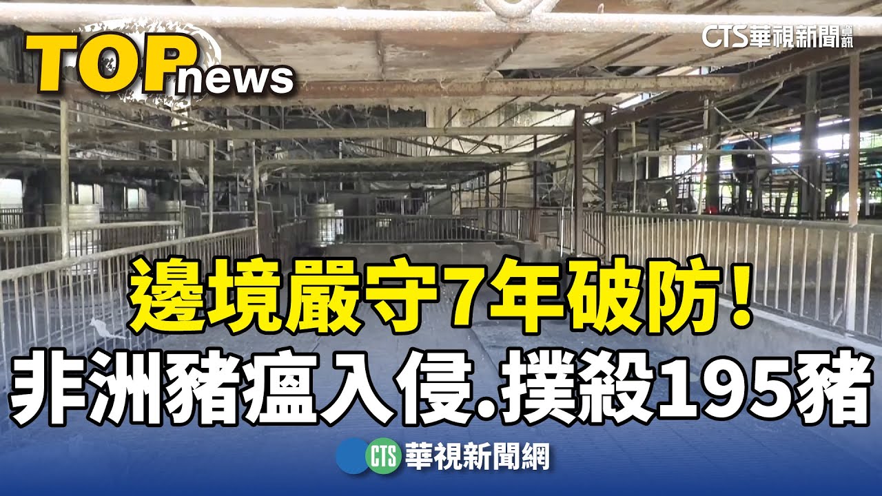 邊境嚴守7年破防！　非洲豬瘟入侵　撲殺195豬｜華視新聞 20251022 @CtsTw