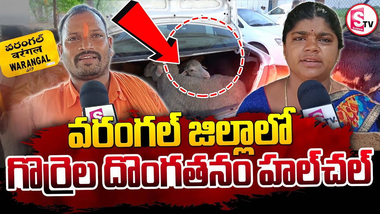 వరంగల్ జిల్లాలో గొర్రెల దొంగతనం హల్ చల్  | Sheep Thief |  Warangal Latest News |