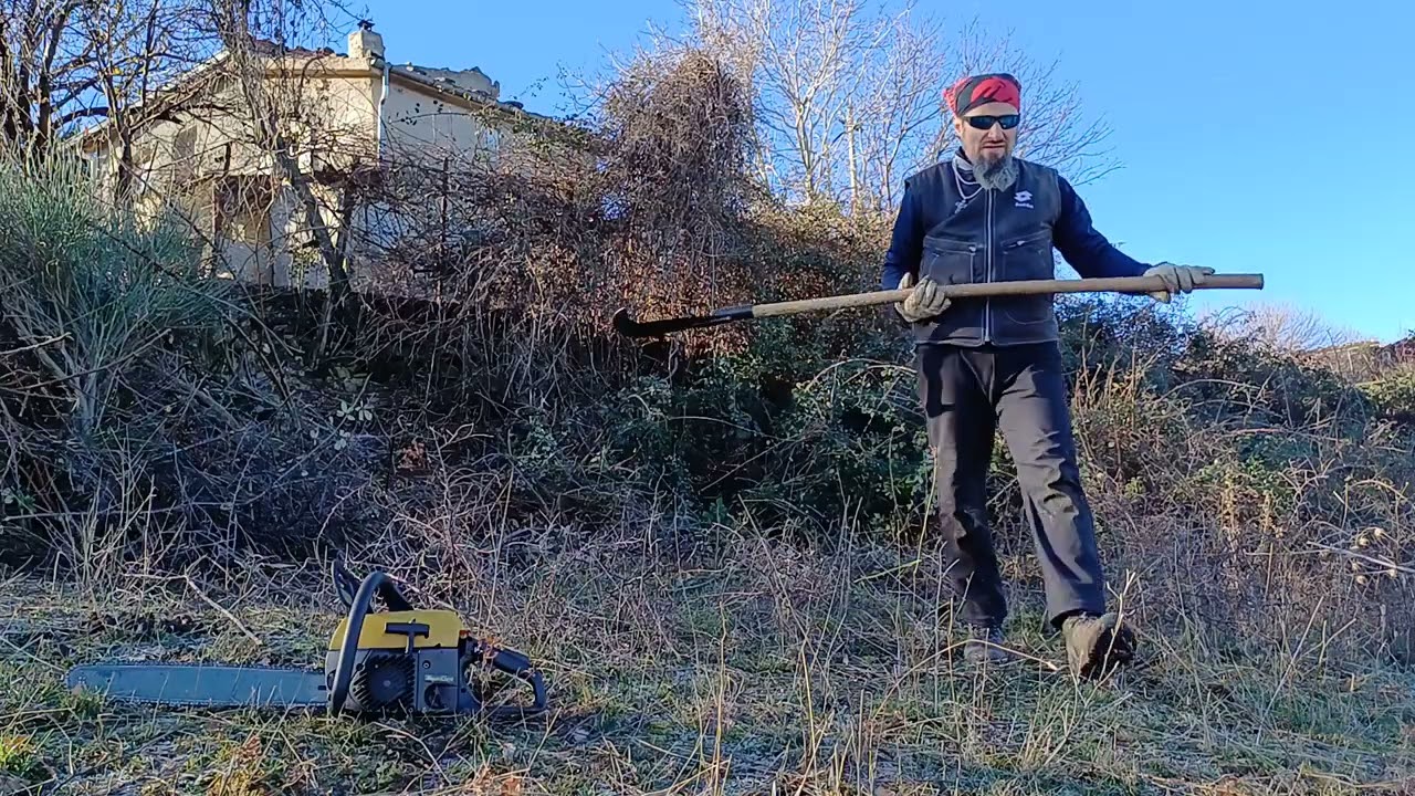 francescotito6661
