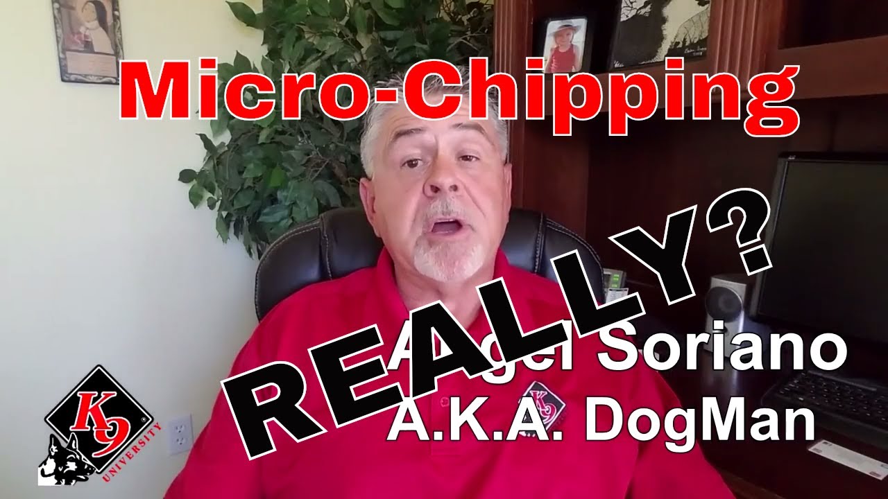 Should I Micro-chip my dog?