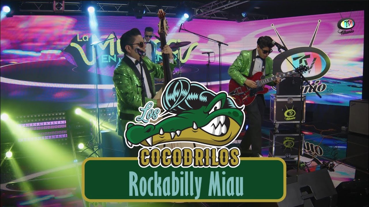 Cocodrilos Rockabilly - Rockabilly Miau