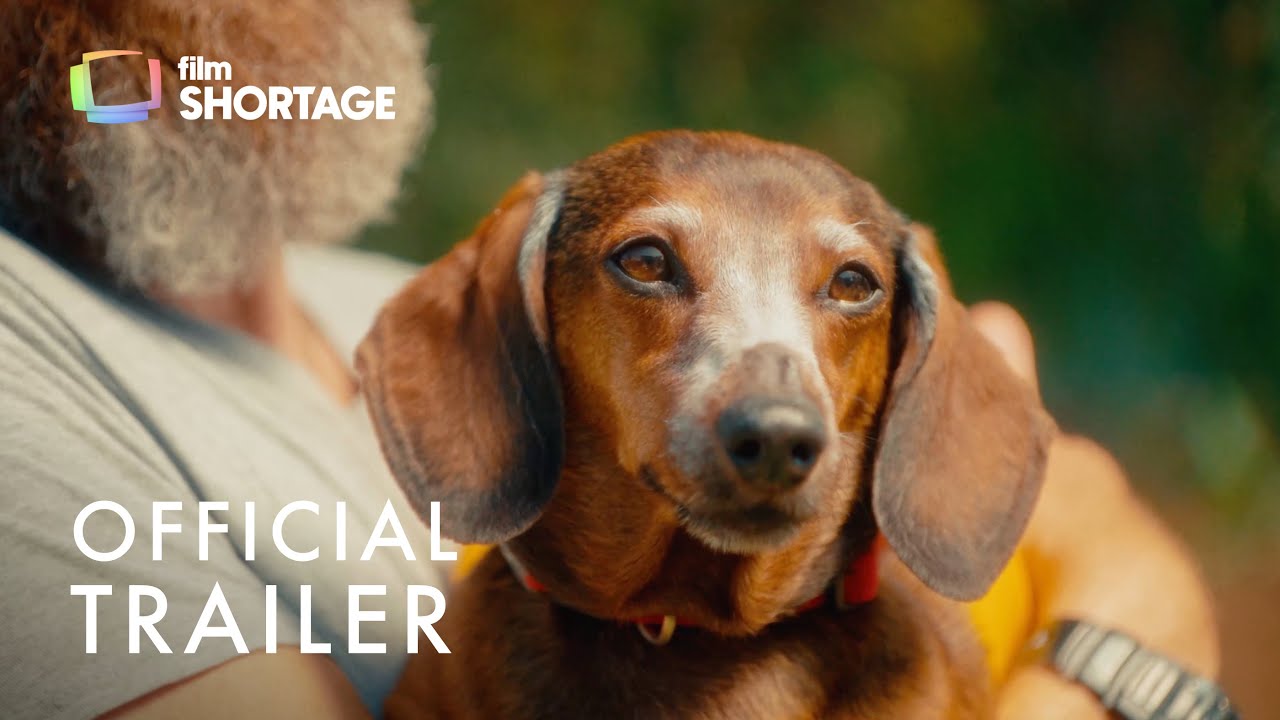 Noodles Forever | Short Film | Official Trailer