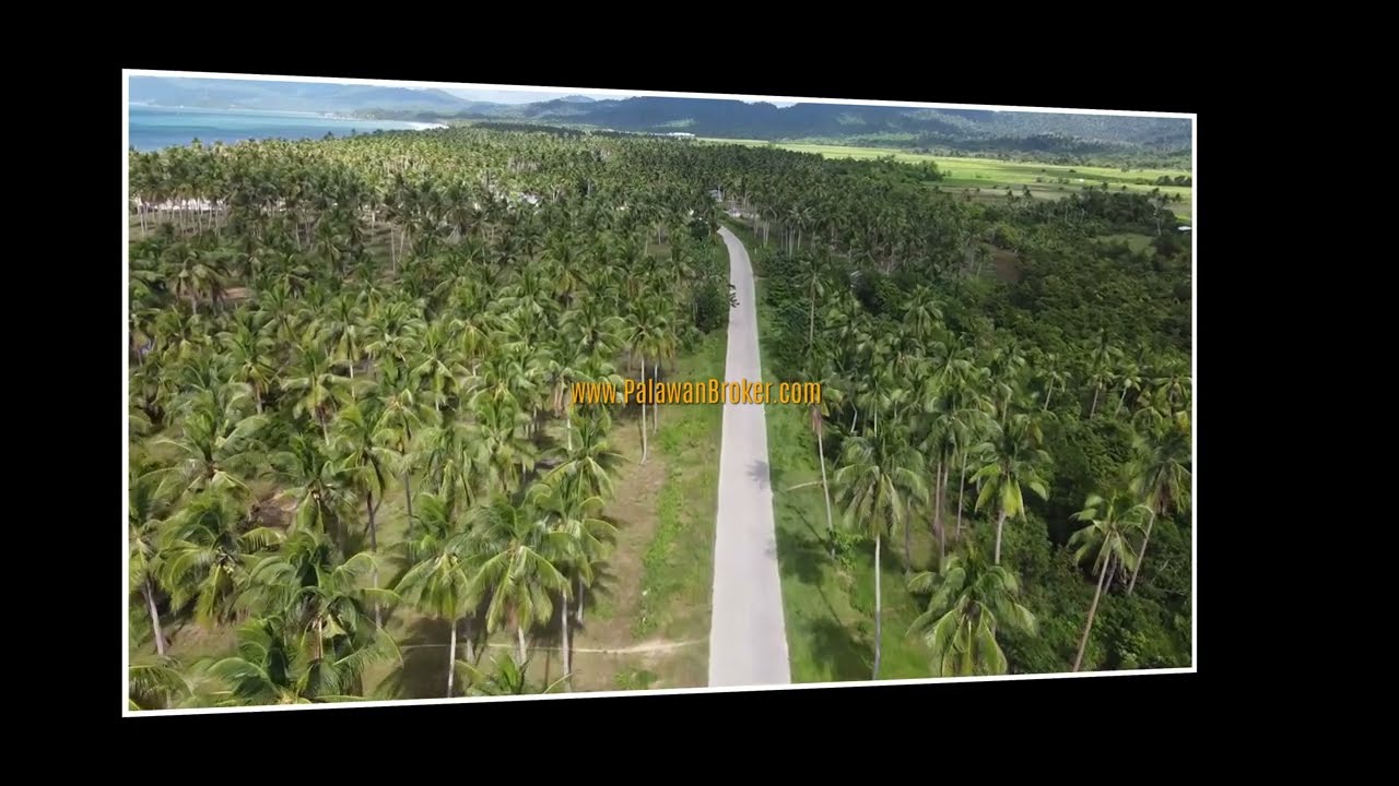 Long Beach San Vicente Palawan House & Lot for Sale | Real Estate Property Investment Philippines