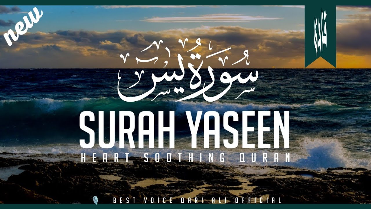 Most beautiful recitation of Surah Yasin (Yaseen) سورۃ یس | Peaceful recitation of Surah Yaseen 