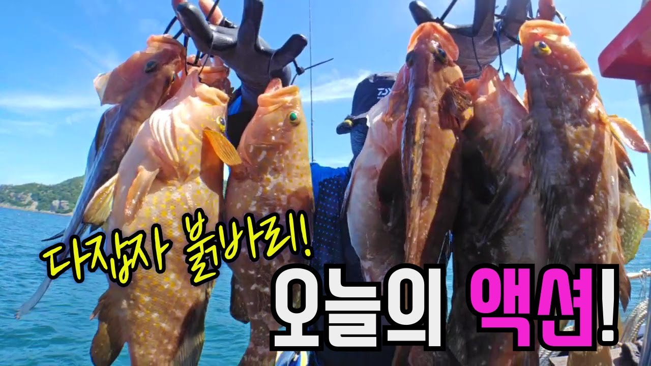 다잡아 민어,붉바리 3가지 낚시 방법!