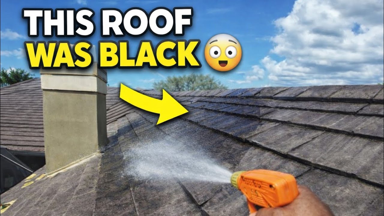 Эта черепичная крыша была покрыта водорослями! | Мягкая мойка крыш во Флориде
