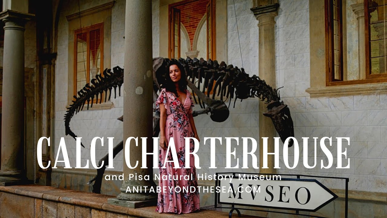 Calci Charterhouse and Pisa Natural History Museum