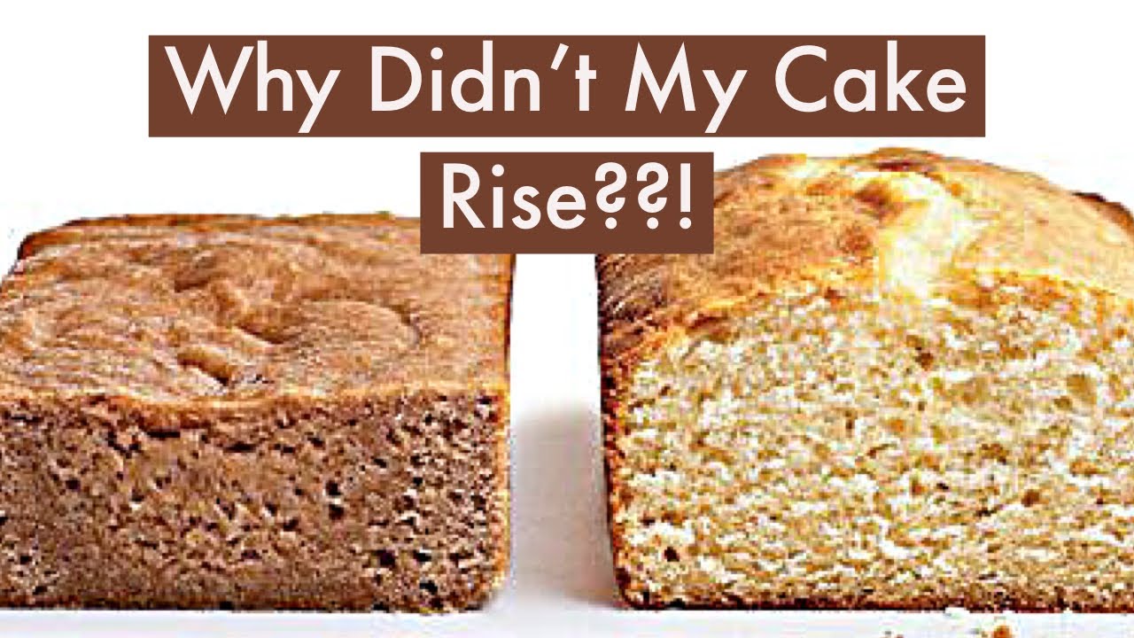 WHY DIDNT MY CAKE RISE??