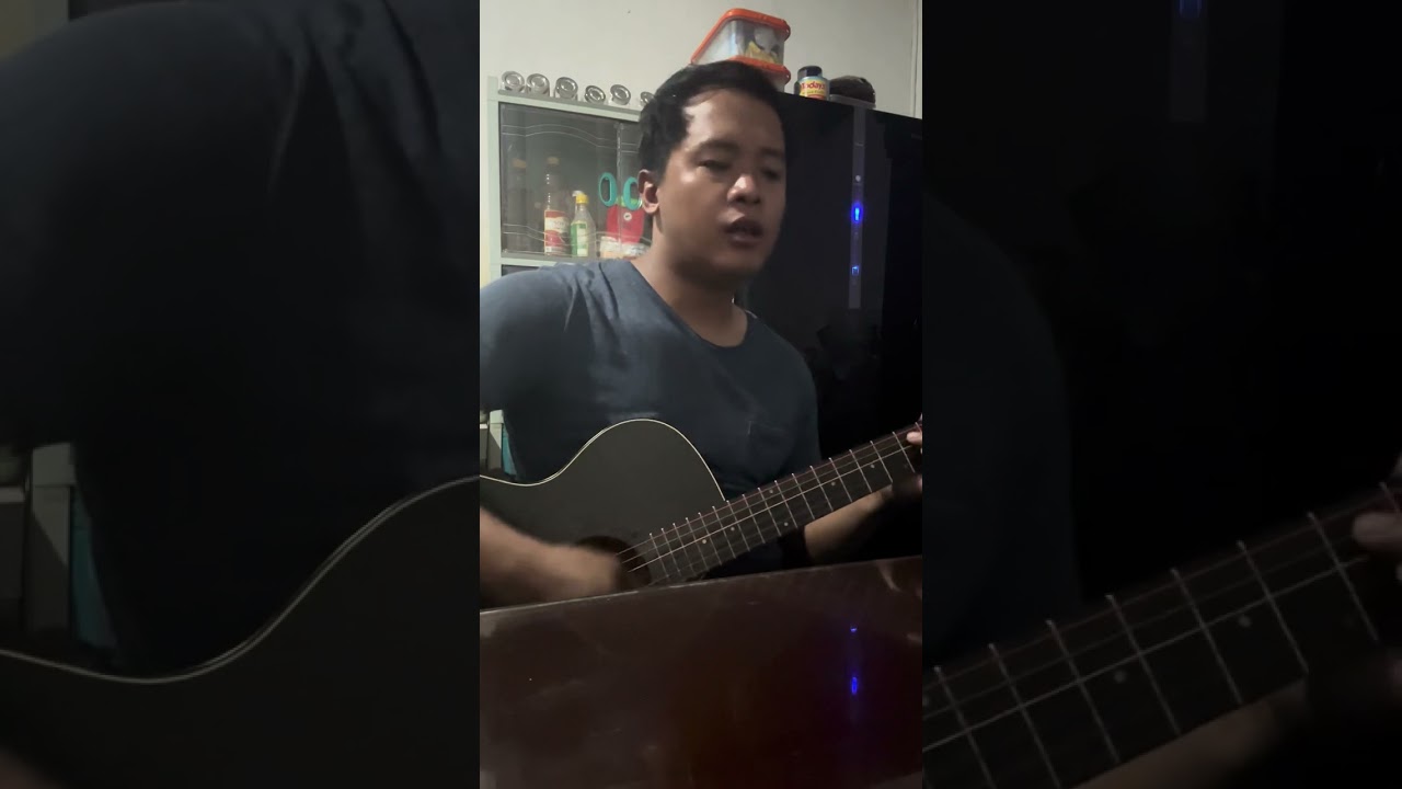 Say You Wont Let Go - Cover