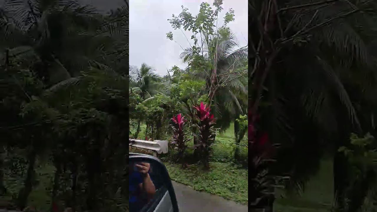 Going to Juban via Juban-Magallanes Road February 14, 2026 