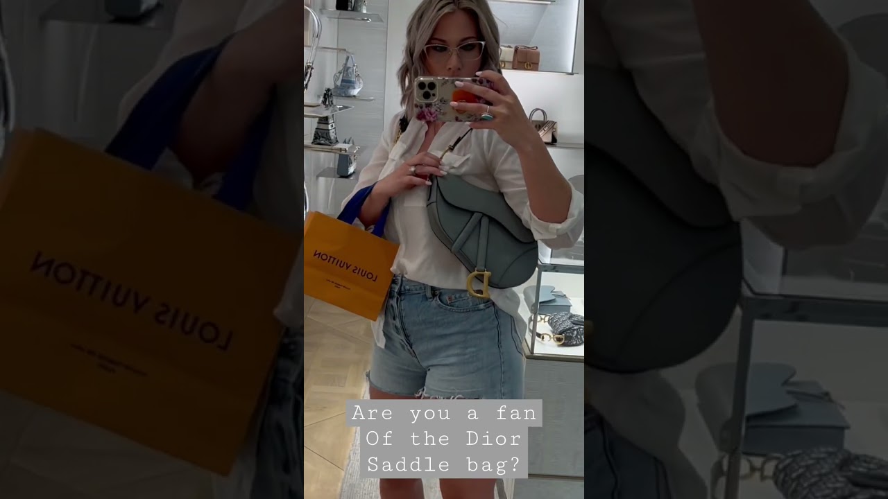 Dior Saddle bag | 2022 Luxury