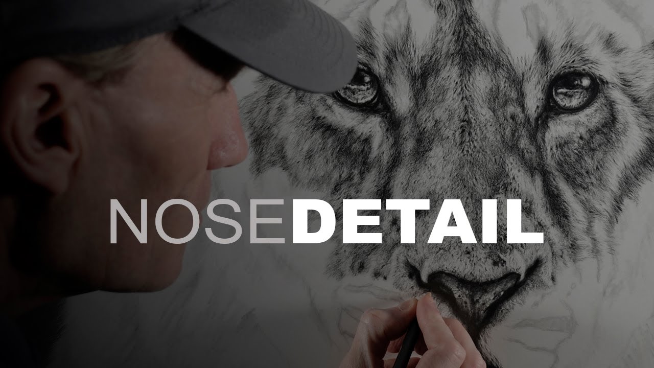 Realistic Lion Nose in Graphite Pencil