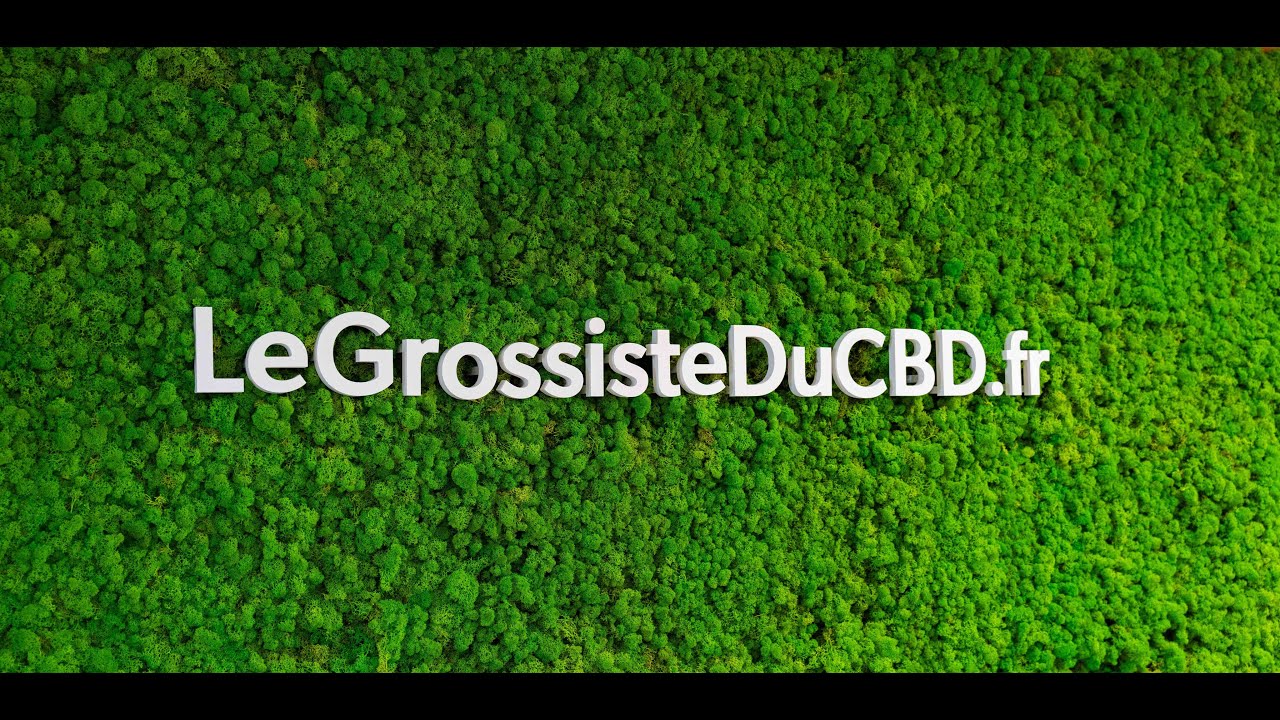 LeGrossisteDuCBD.fr - Pr&eacute;sentation 2025 Fr