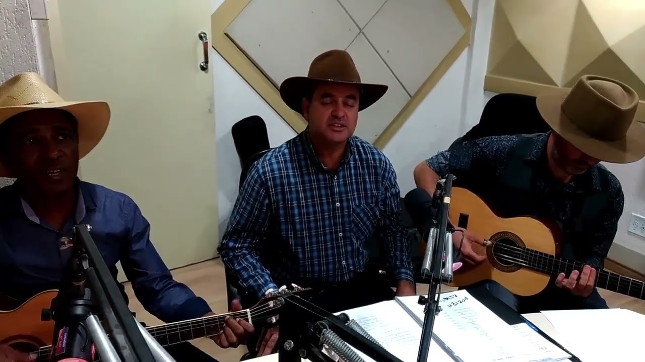 Viola gerais recordando modão 