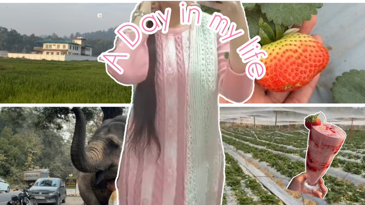 Beautiful garden😍❤️😍 Aesthetic silent vlog✨💫#garden #resort #vlog #achilldayinmylife #viralvlogs 
