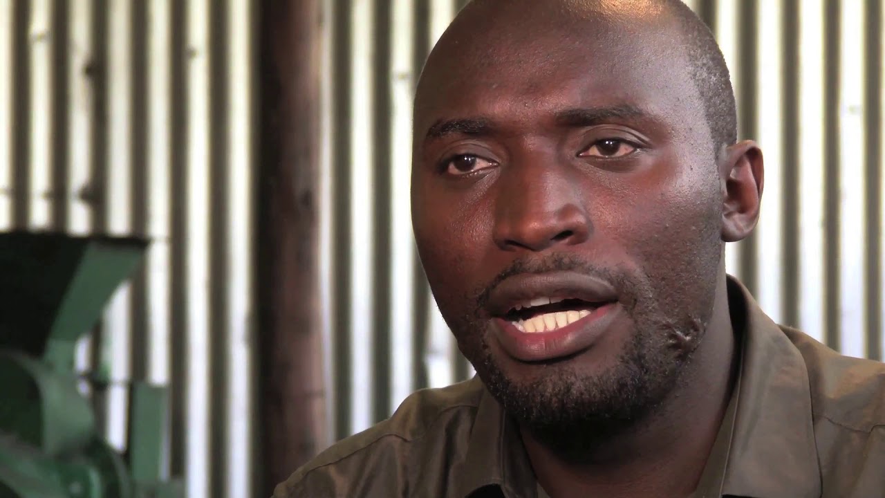 MAA BRIQUETTES saving the Maasai Mau Forest