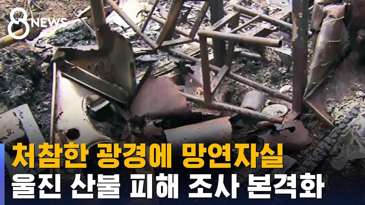 울진 산불 피해 조사 본격화&hellip;화재 원인 수사 '속도' / SBS