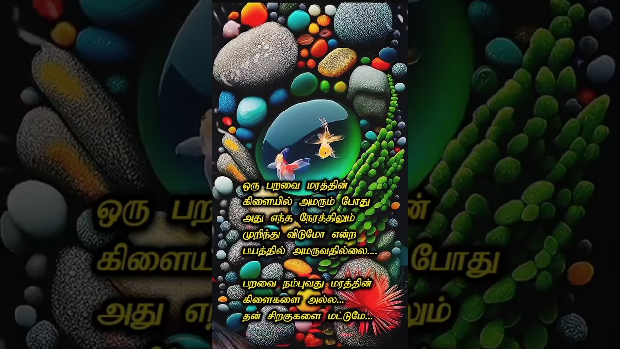 life changing quotes in tamil#shorts #youtubeviral #life #quotes