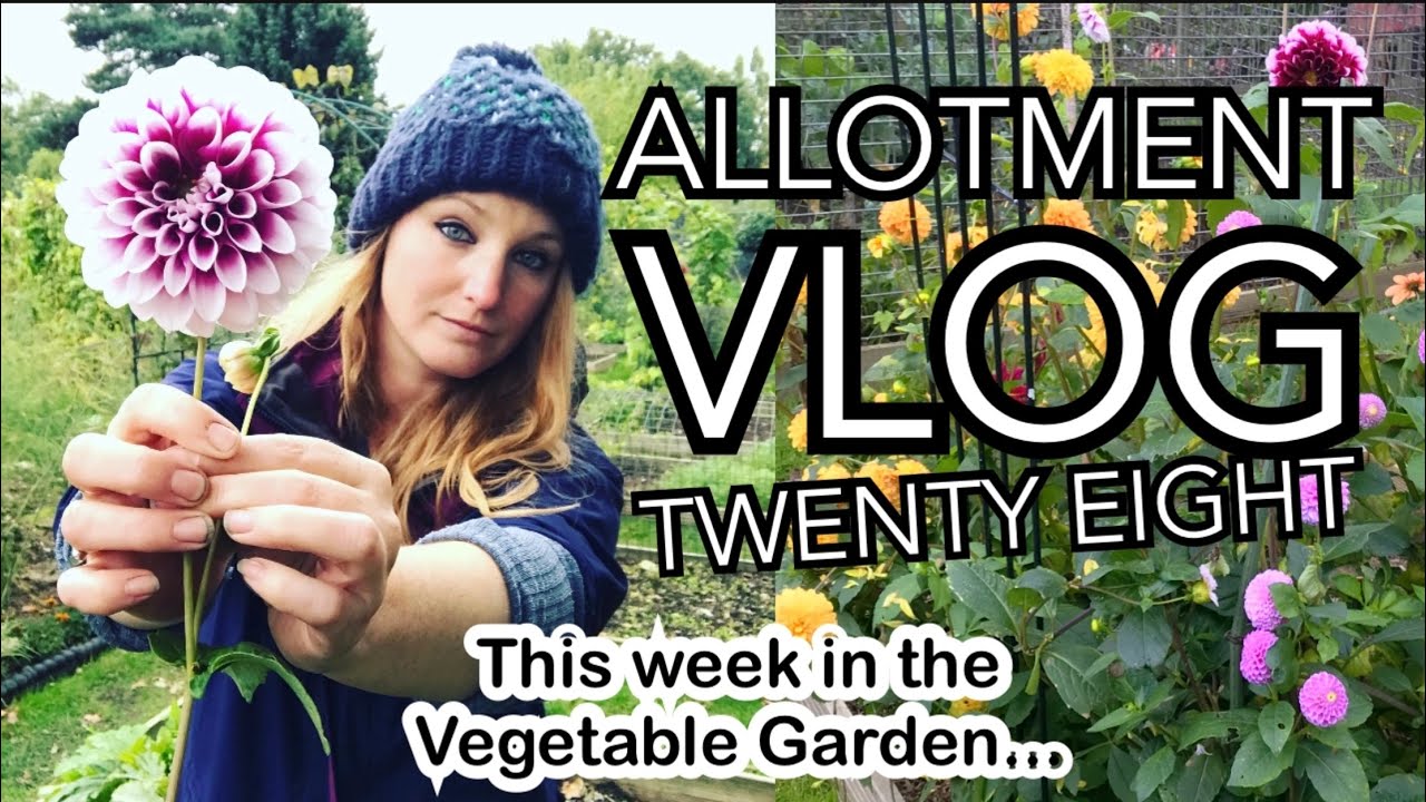 ALLOTMENT VLOG 28 - Planting out Broadbeans, Clearing Beds and talking Varieties!