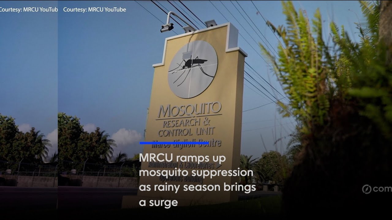MRCU ramps up mosquito suppression as rainy season brings surge