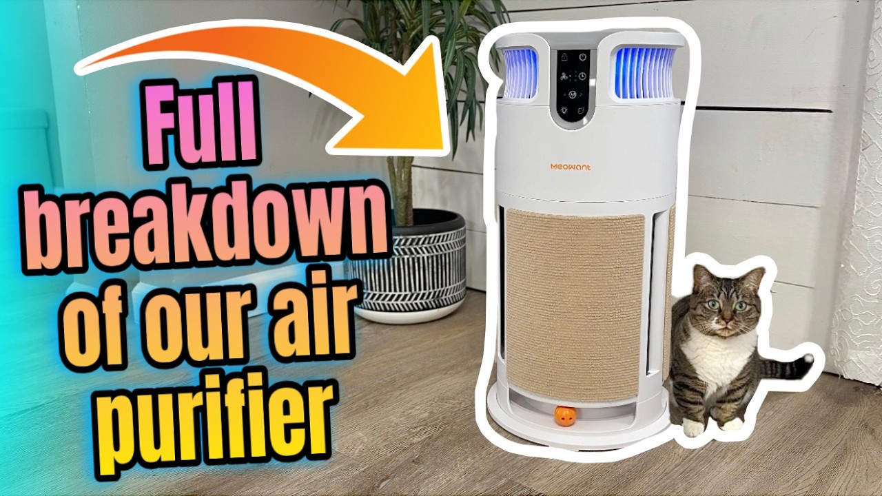 Full setup and Demo of our Meowant Air Purifier! Product Link in description