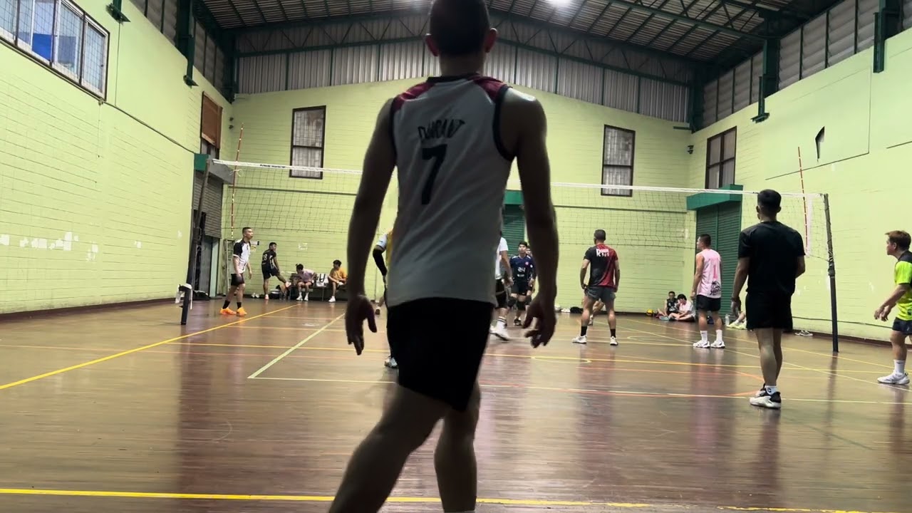 Volleyball 19012569