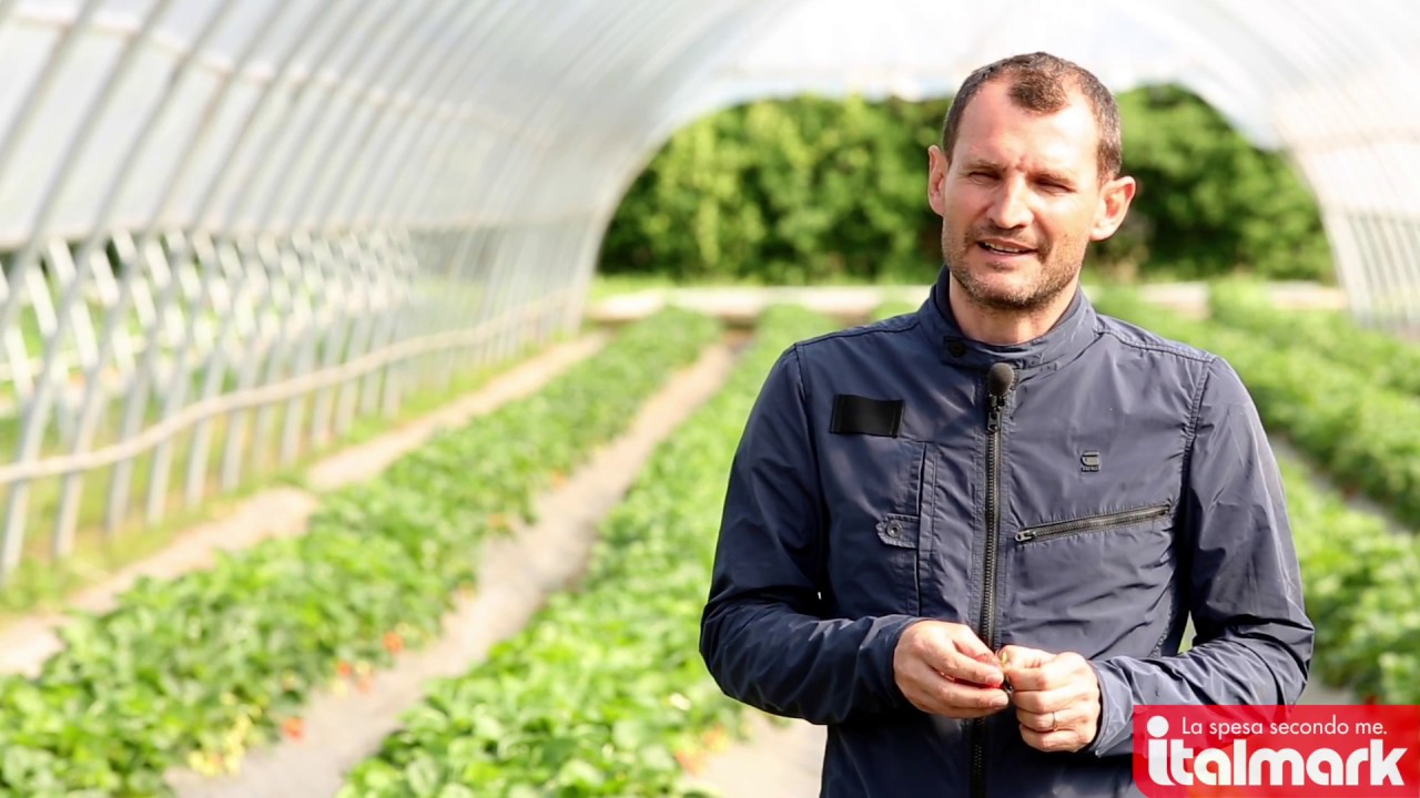 Italmark - Produttori Locali - Morosini Frutta