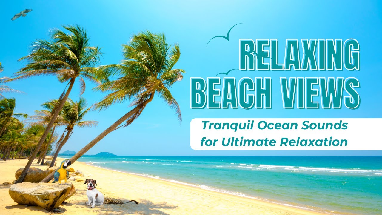 Relaxing Beach Views | Tranquil Ocean Sounds for Ultimate Relaxation #relaxationvideo #asmrvideo