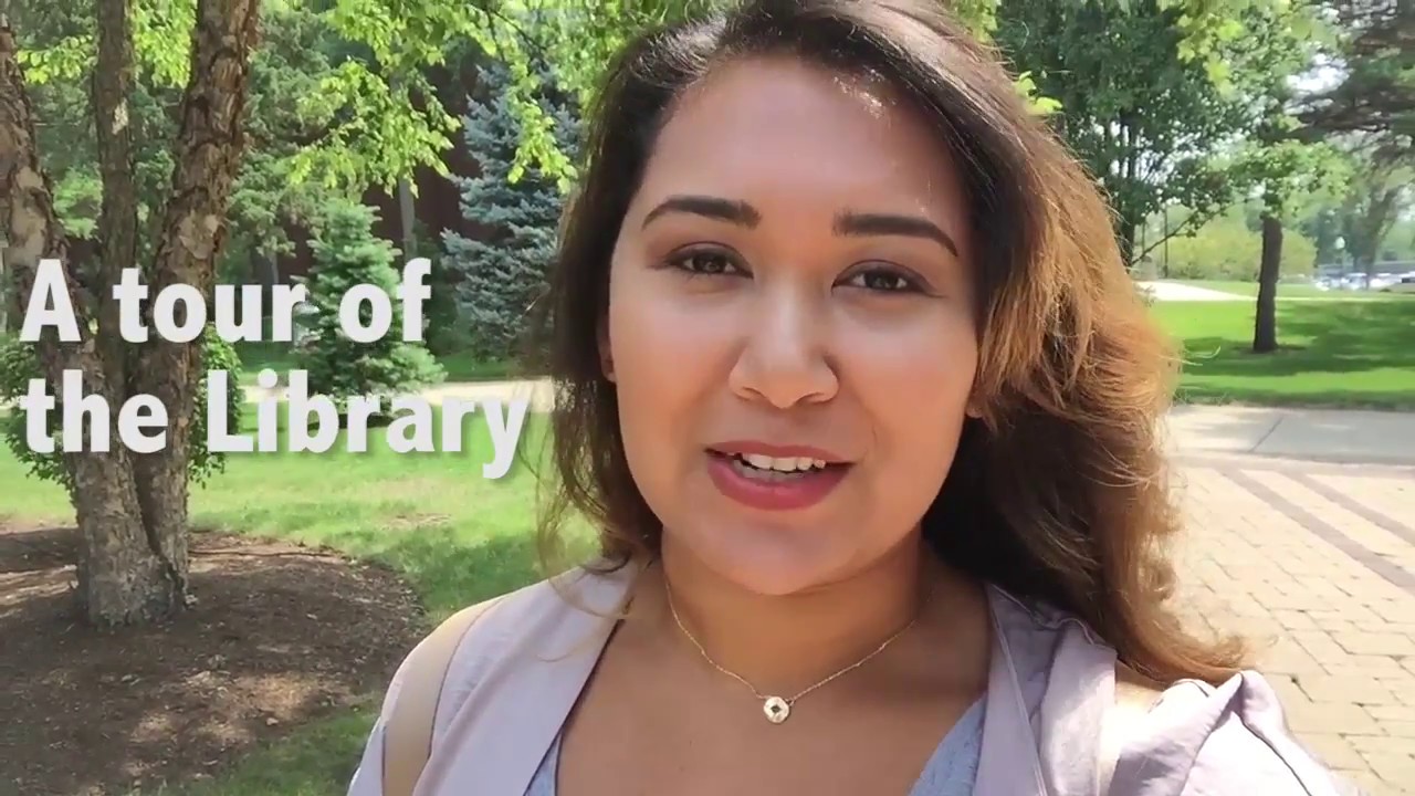 Take a Tour of the Library