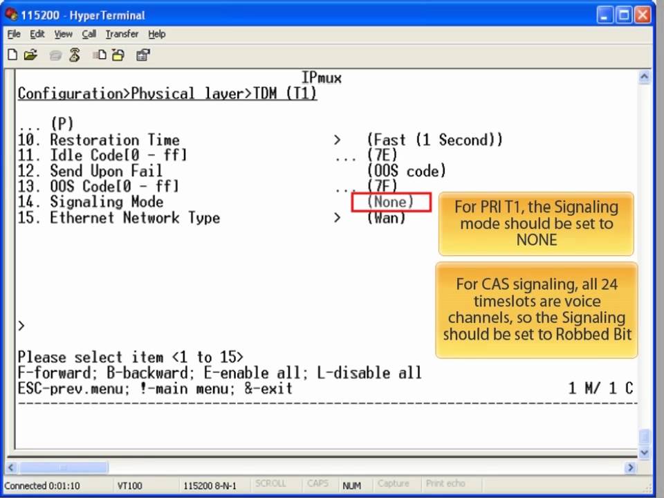 RAD IPmux Configuration Guide - North America
