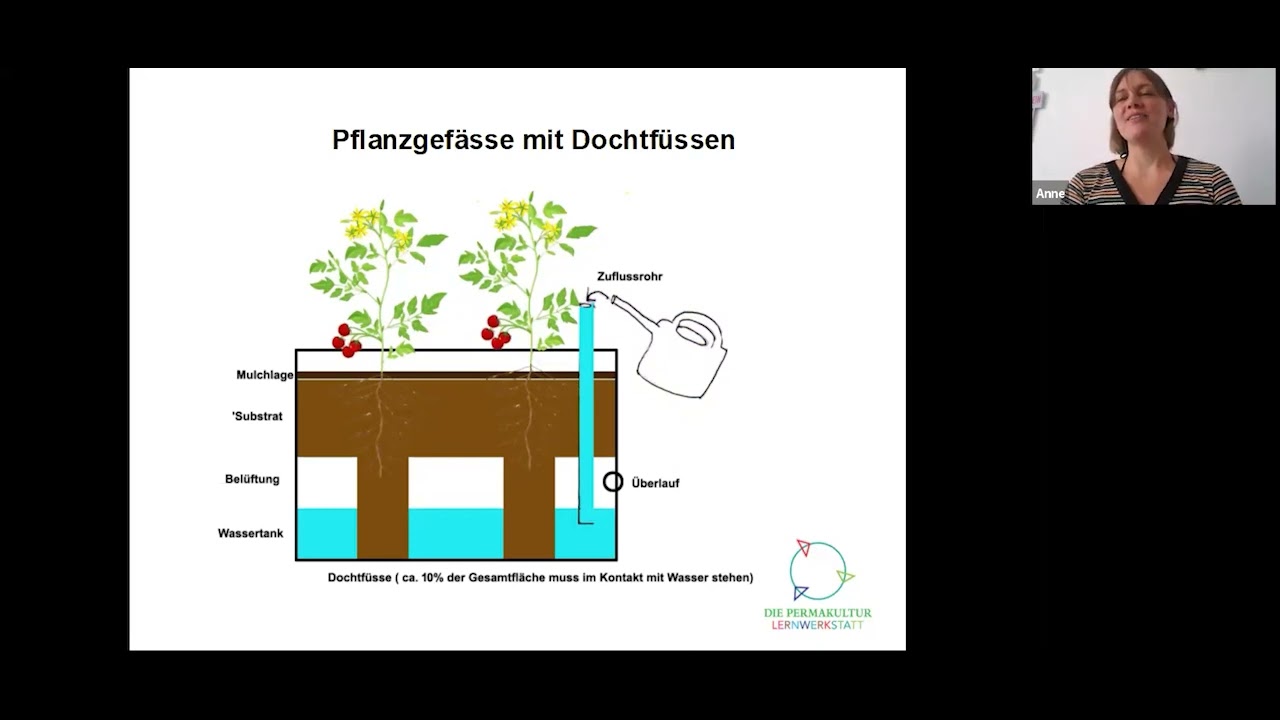 Wasser - ein kostbares Gut: Pflanzgefäße mit eingebauten Wassertanks