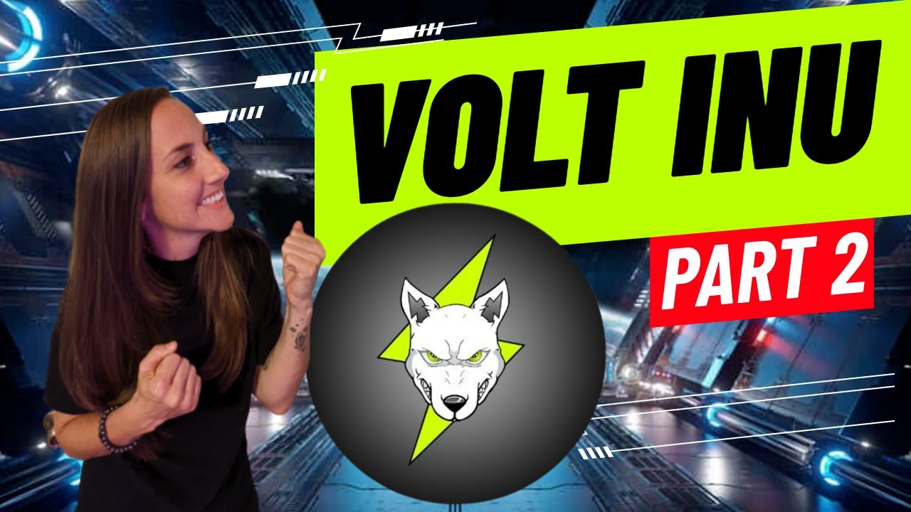 VOLT INU PART 2 -SPACE CABIN