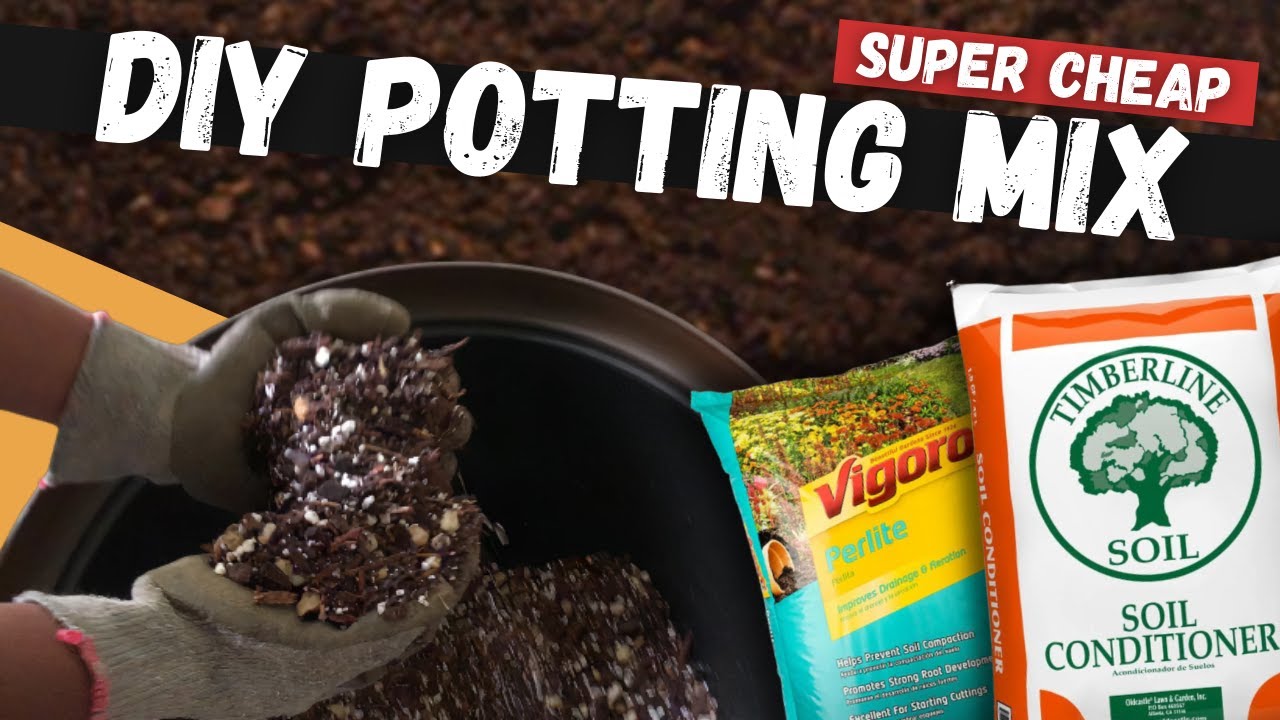 The BEST Potting Mix You Will Make - Affordable and Easy!