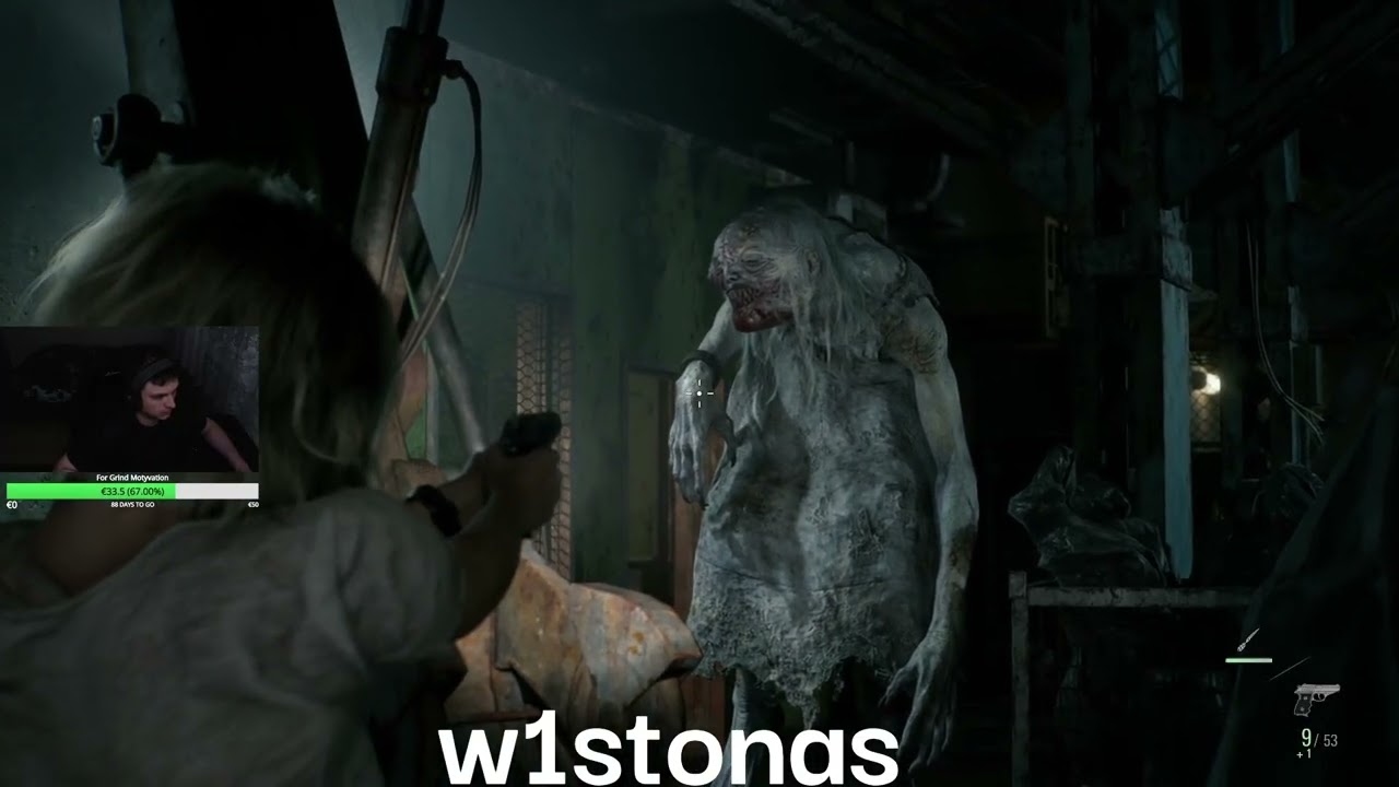 Lietuvos streameriai #734 (AustejaSubm,w1stonas,kerrakatt...........)