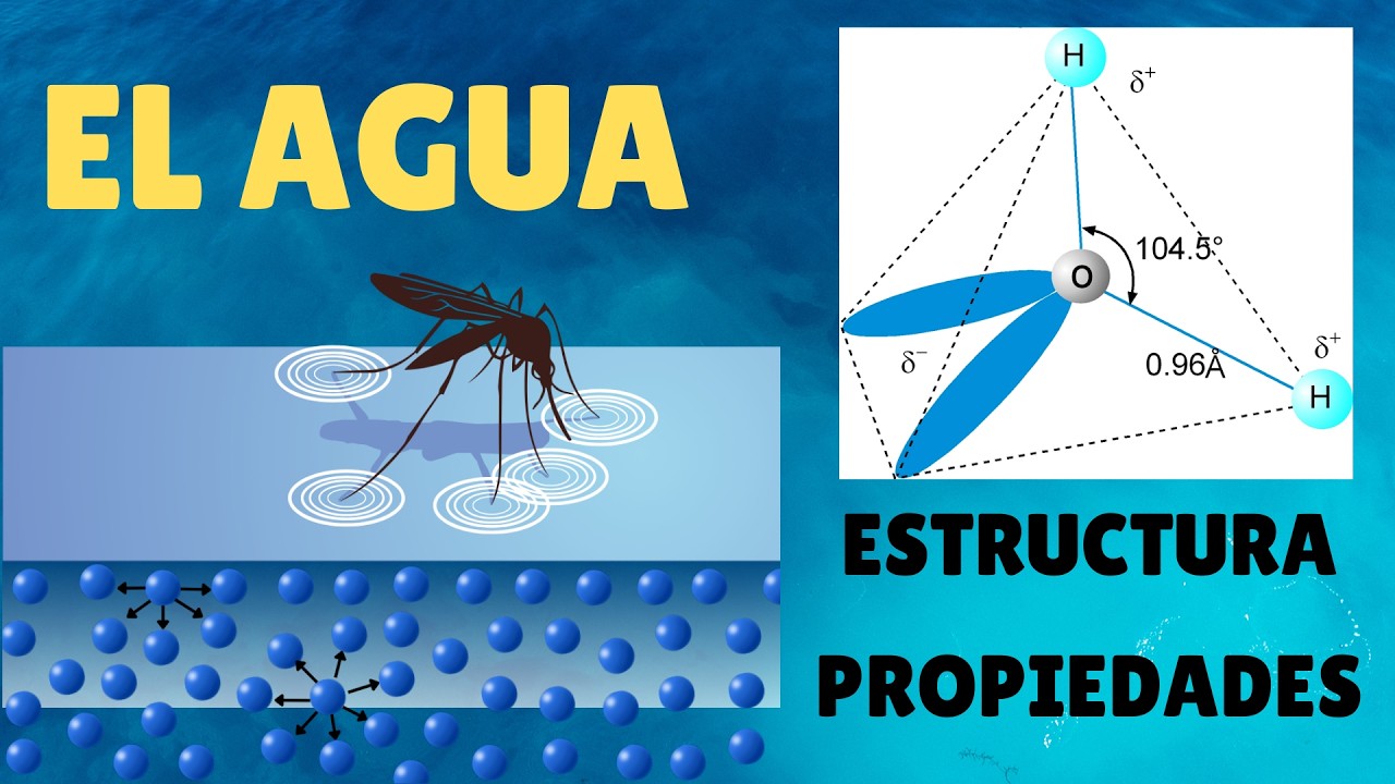 El Agua: Estructura, Propiedades y Funciones | Explicación Clara y Completa
