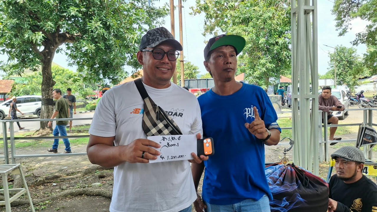 HUGO BOSS - ARDI BRAVO BULU BARU SIAP TERJUN DI KELAS MOBILAN 🥶