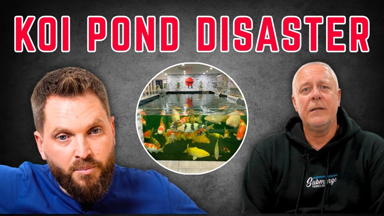 One Man’s Fight to Save His Koi Pond and His Passion | ***Documentary***