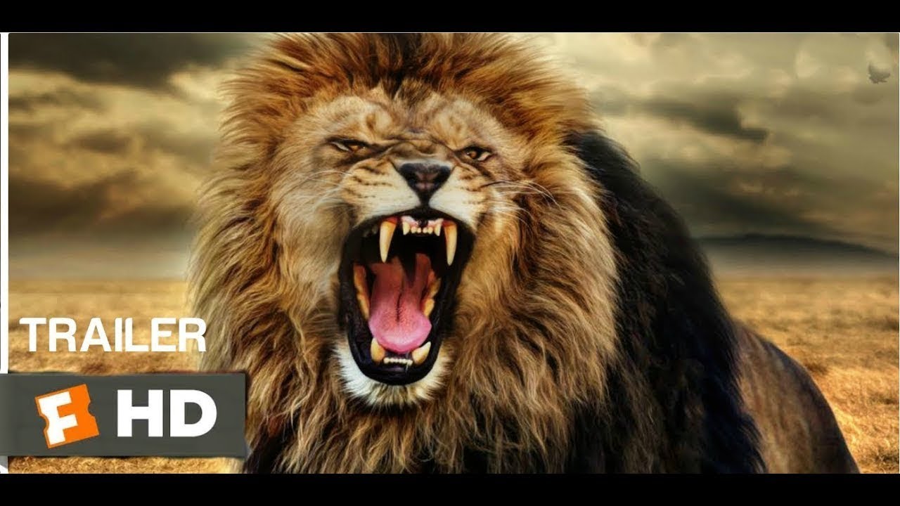 Lion King 2019 Soundtrack - Simba’s Theme - Michael Barbera