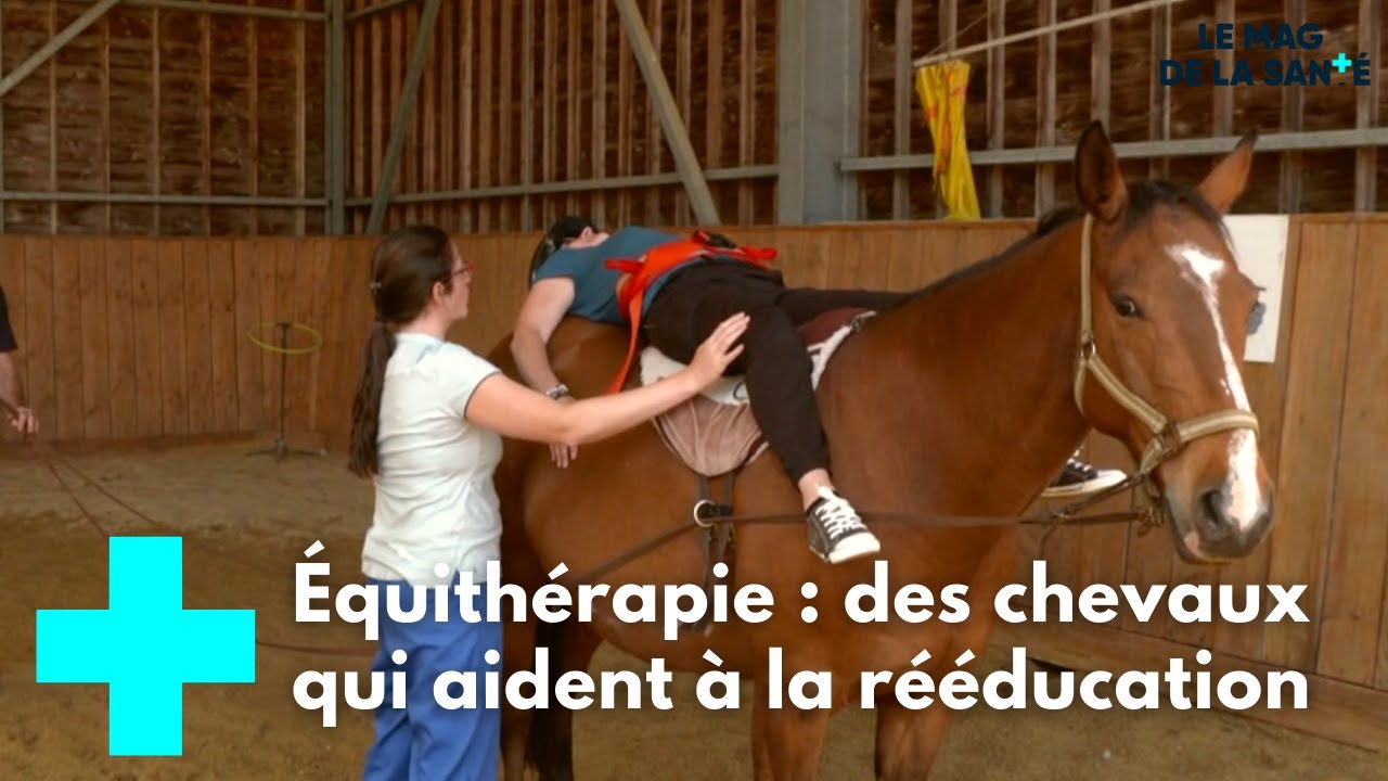 Se rééduquer au contact des chevaux - Le Magazine de la Santé
