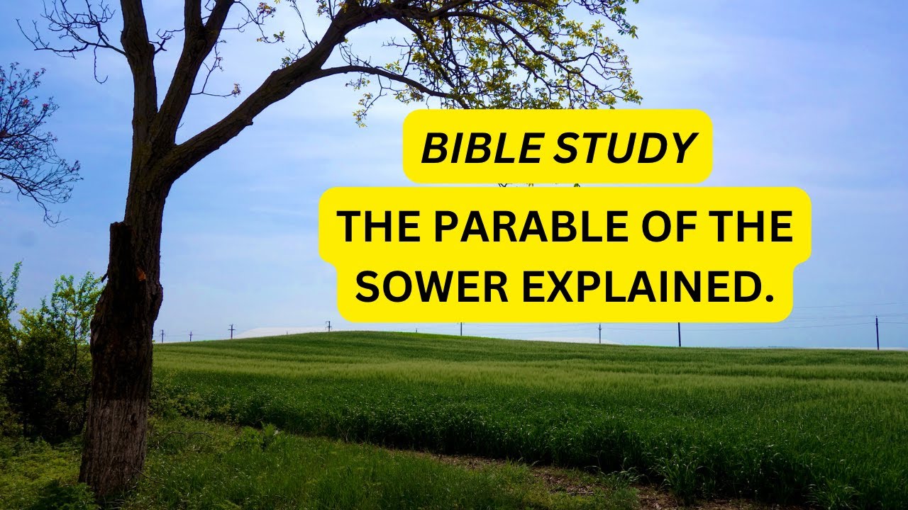Bible study -  The parable of the sower explained