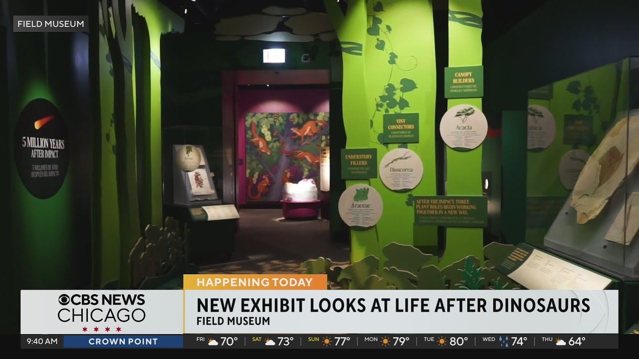 New Chicago Field Museum exhibit explores life after dinosaurs