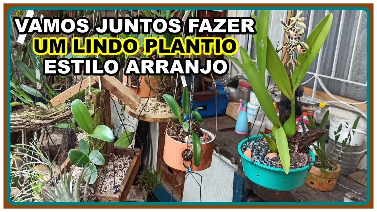 VAMOS FAZER ESTE PLANTIO JUNTOS COM ESTA ORQUÍDEA NO ESTILO ARRANJO
