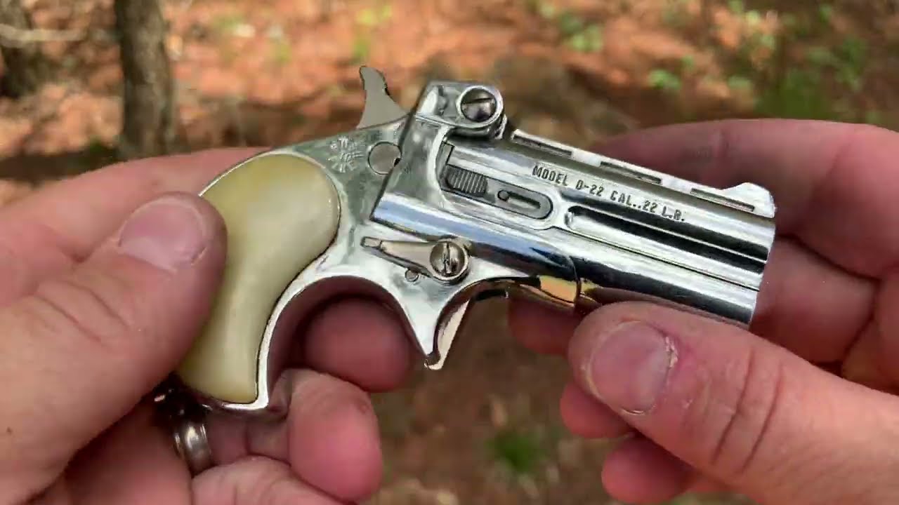 22lr Derringer (DAVIS INDUSTRIES D-22)