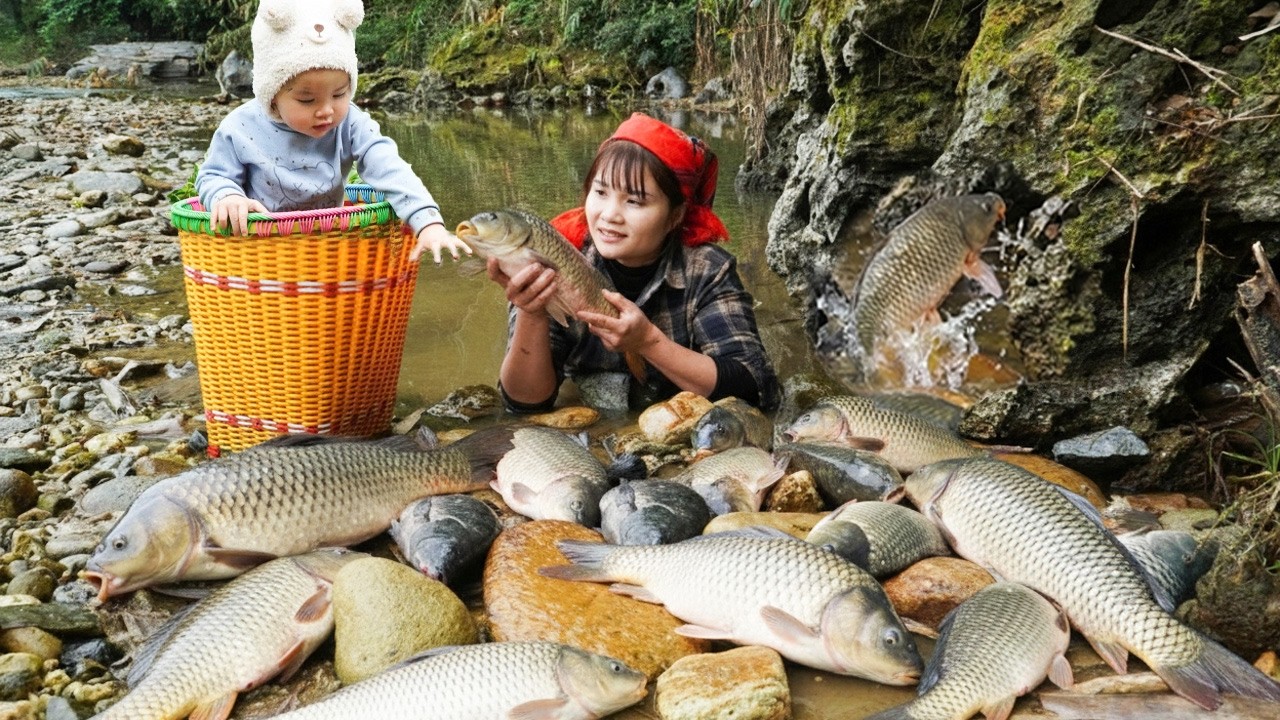 How to catch giant fish in the wilderness streams and sell them at the market - Survival alone