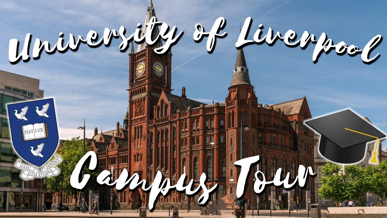 See What Studying at Liverpool University is REALLY Like!