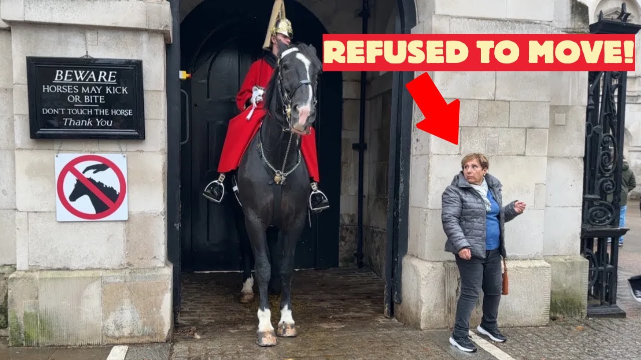 Stupid Tourist Confronts King's Guard and Refuses to Move - Watch Full Footage!