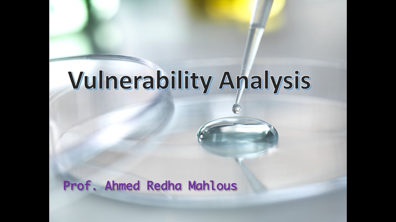 CYS405 Vulnerability Analysis Part 2/ 2