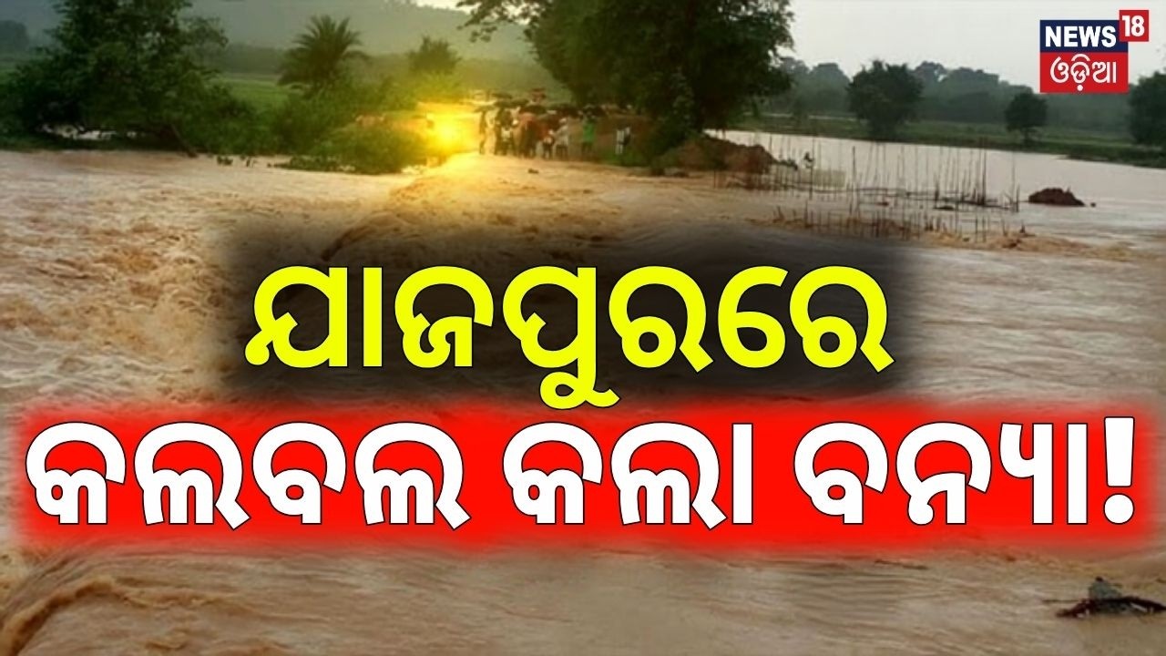 ଯାଜପୁରରେ କଲବଲ କଲା ବନ୍ୟା! Jajpur Flood News |Brahmani & Kharasrota Rivers Overflow|Villages Submerged